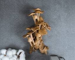 Handmade Wood Carving Mushroom Wall Art Driftwood Hanging Sculpture 9.5 - thumbnail 1