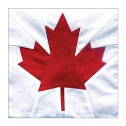 Perfect Canadian Pillow - thumbnail 2
