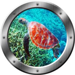 Sea Turtle Wall Decal Porthole 3D Sticker Life Decor - Vwaq Sp31 - thumbnail 2