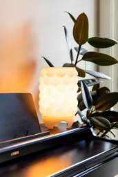 Solara Table Lamp 3D Printed Recycled Corn Pla, Modern Design