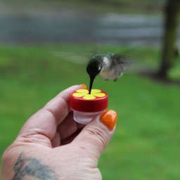 Trio Of Hum-Button???, Mini Hand Held Hummingbird Feeders New Style 2017, Made in The Usa - thumbnail 2