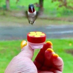 Trio Of Hum-Button???, Mini Hand Held Hummingbird Feeders New Style 2017, Made in The Usa - thumbnail 3