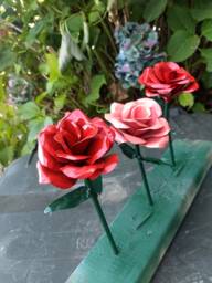 steel Roses