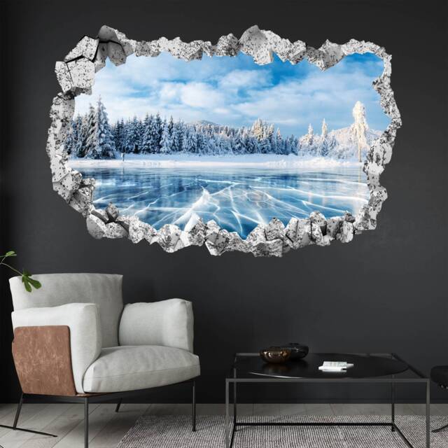 Frozen Lake Ice Winter Snow Trees Wall Decal Sticker Mural Poster Print Art Home Office Decor Km5 - image 1