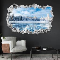 Frozen Lake Ice Winter Snow Trees Wall Decal Sticker Mural Poster Print Art Home Office Decor Km5