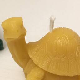Turtle Beeswax Votive Candle - 1 100 Percent Pure Natural Votives - thumbnail 3