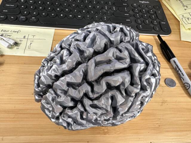 Life-Size 3D Printed Brain - Realistic Anatomical Model - image 1
