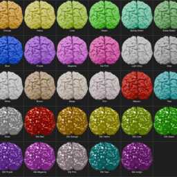Life-Size 3D Printed Brain - Realistic Anatomical Model - thumbnail 4