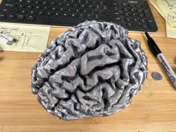 Life-Size 3D Printed Brain - Realistic Anatomical Model - thumbnail 1