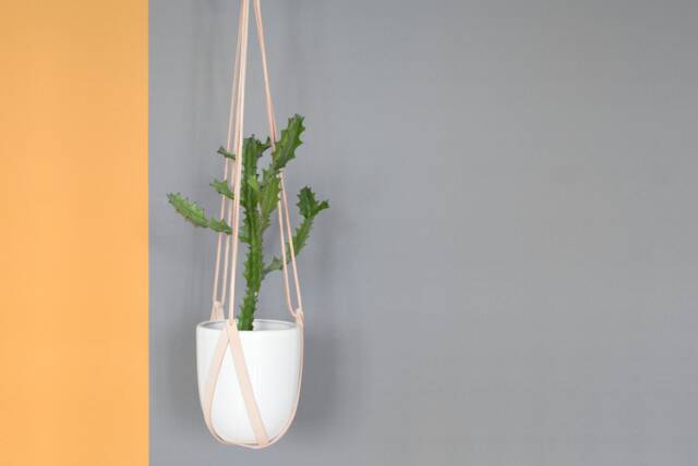 Natural Undyed Leather Hanging Planter/Lade #3 Indoor Ceiling Plant Hanger - image 1