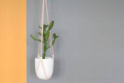 Natural Undyed Leather Hanging Planter/Lade #3 Indoor Ceiling Plant Hanger