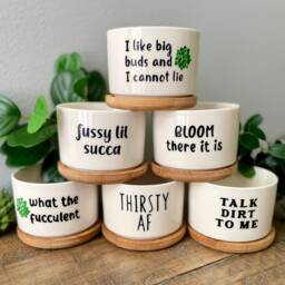 Succulent Planters - Cute Plant Pots, Small Flower Funny Unique Succulent Pots - thumbnail 2