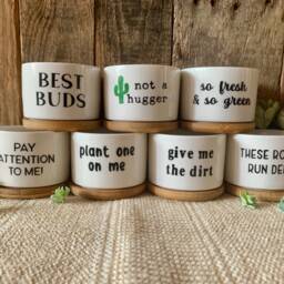 Succulent Planters - Cute Plant Pots, Small Flower Funny Unique Succulent Pots - thumbnail 3
