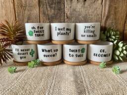 Succulent Planters - Cute Plant Pots, Small Flower Funny Unique Succulent Pots