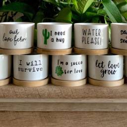 Succulent Planters - Cute Plant Pots, Small Flower Funny Unique Succulent Pots - thumbnail 4