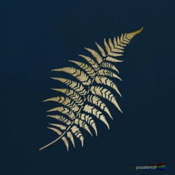 Fern Leaf Stencil, For Walls, Art & Furniture. St60 - thumbnail 1
