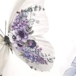 Lilac & Anemone Butterfly Wall Art 3D Removable Decals - Set Of 4 - thumbnail 3