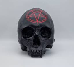 Vampire Pentagram. Plaster Of Paris Life Size Human Skull Replica - thumbnail 1