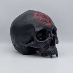 Vampire Pentagram. Plaster Of Paris Life Size Human Skull Replica - thumbnail 4