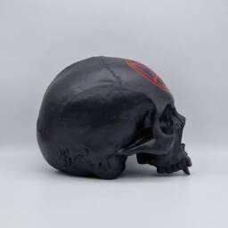 Vampire Pentagram. Plaster Of Paris Life Size Human Skull Replica - thumbnail 3