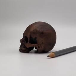 Bronze Effect Solid Tiny Human Half Skull Ornament. Small Replica Plaster Of Paris Skull - thumbnail 3