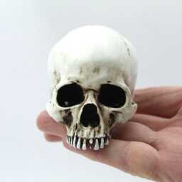 Anatomically Correct Human Skull Figurine Gothic Collector Gift - thumbnail 2