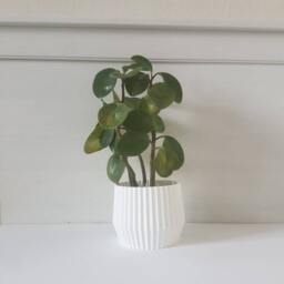 Modern Indoor Planter, Plant Pot - thumbnail 2