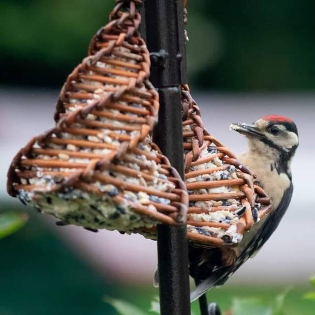 Willow Bird Feeder - image 1