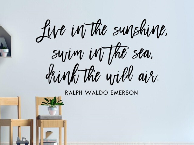 Live in The Sunshine Wall Decal - Nature Quote Ralph Waldo Emerson Quote - Swim Sea Drink Wild Air - image 1