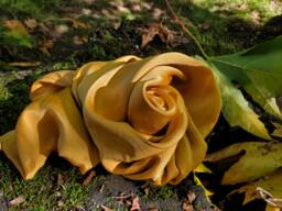 Gold Mushroom Dyed Mulberry Silk Pillowcases - Queen & Standard Sizes