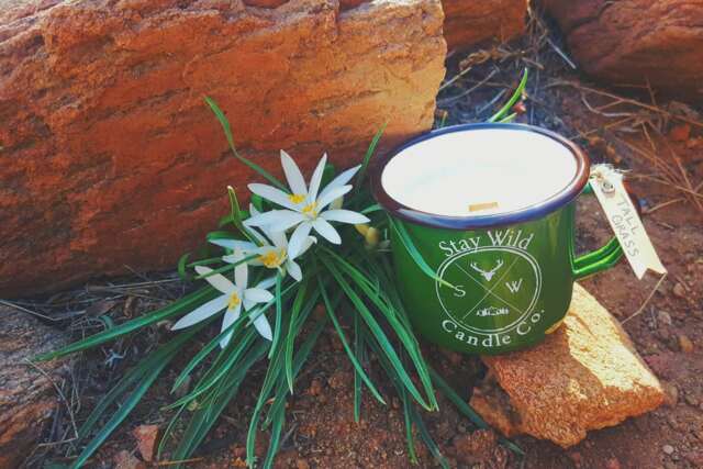 Tall Grass // Soy Wood Wick Candle in Enamel Camping Mug Fresh Cut Grass Candle, Spring Soy Candle, Scented Mug Candle