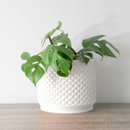 "Carolina Planter With Drainage & Saucer in White, Lattice 3D-Printed Plant Pot, Small To Large Sizes 4"" 5"" 6"" 7"" 8" - thumbnail 2