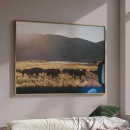 Utah Bison At Sunset Photography Print - Antelope Island Wall Art, Poster Print, Landscape Western Nature Rustic Home Decor - thumbnail 2