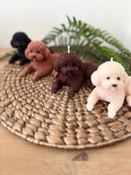 Cockapoo Dog Lover Gift, Cavachon Poodle Mum Bichon Frise Owner Fragranced Dog Candle Gift For & Dad
