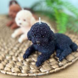 Cockapoo Dog Lover Gift, Cavachon Poodle Mum Bichon Frise Owner Fragranced Dog Candle Gift For & Dad - thumbnail 4