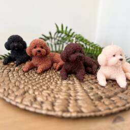 Cockapoo Dog Lover Gift, Cavachon Poodle Mum Bichon Frise Owner Fragranced Dog Candle Gift For & Dad - thumbnail 2