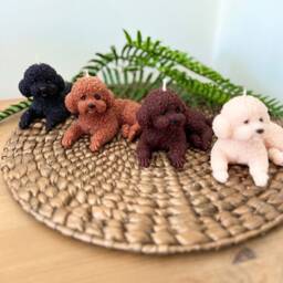 Cockapoo Dog Lover Gift, Cavachon Poodle Mum Bichon Frise Owner Fragranced Dog Candle Gift For & Dad - thumbnail 3