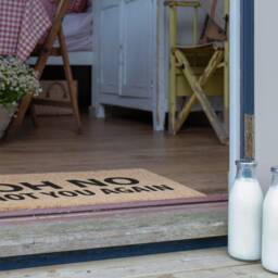 Funny Coir Doormat Oh No Not You Again Welcome Mat - 60x40cm - thumbnail 3