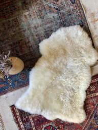 Genuine Real Sheepskin Rug Champagne Single Pelt Wool Fur Throw Floor 2 X 3 Approx