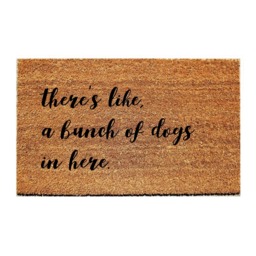 Custom Doormat Funny - There's Like, A Bunch Of Dogs in Here