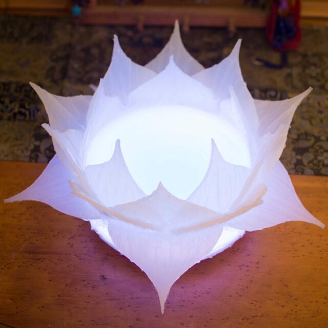 Large Color Changing Led Lotus Light With Remote - image 1