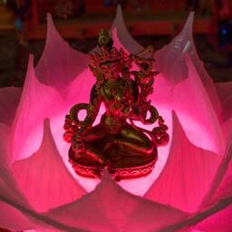 Large Color Changing Led Lotus Light With Remote - thumbnail 3