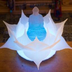 Large Color Changing Led Lotus Light With Remote - thumbnail 2