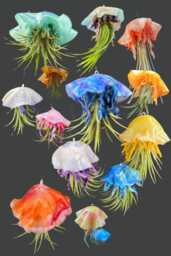 Handmade Clay Jellyfish Air Plant Holder - thumbnail 1