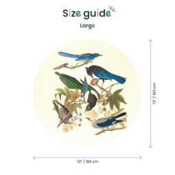 Five Birds Circle Wall Decals Peel & Stick Nursery Decor - thumbnail 4