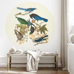 Five Birds Circle Wall Decals Peel & Stick Nursery Decor - thumbnail 2