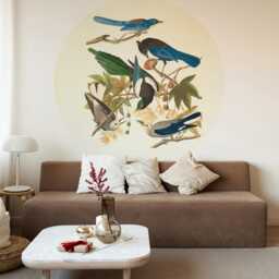 Five Birds Circle Wall Decals Peel & Stick Nursery Decor
