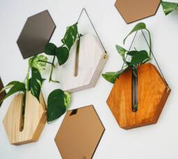 Honeycomb Wooden Wall Planter /Propagation Station /Sustainable Wood Decor - thumbnail 1