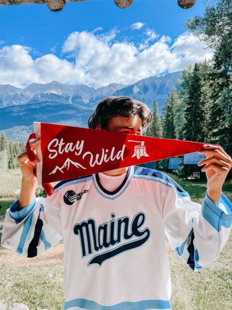 stay Wild Pennant Flag/Felt Pennant Wall Hanging Banner Gallery Outdoors Travel Adventure Kids Bedroom Wild Child - image 1