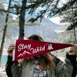 stay Wild Pennant Flag/Felt Pennant Wall Hanging Banner Gallery Outdoors Travel Adventure Kids Bedroom Wild Child - thumbnail 2